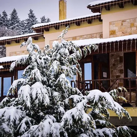 Aetoma Suites * Synikia Mesi Trikalon