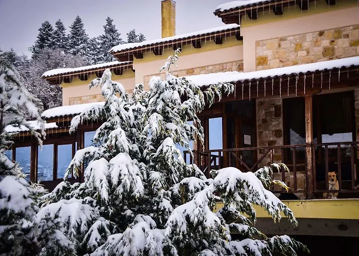 Aetoma Suites * Synikia Mesi Trikalon